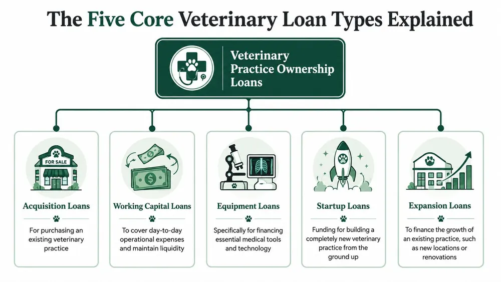 An infographic showing the five core types of veterinary practice ownership loans including acquisition, working capital, equipment, startup, and expansion.