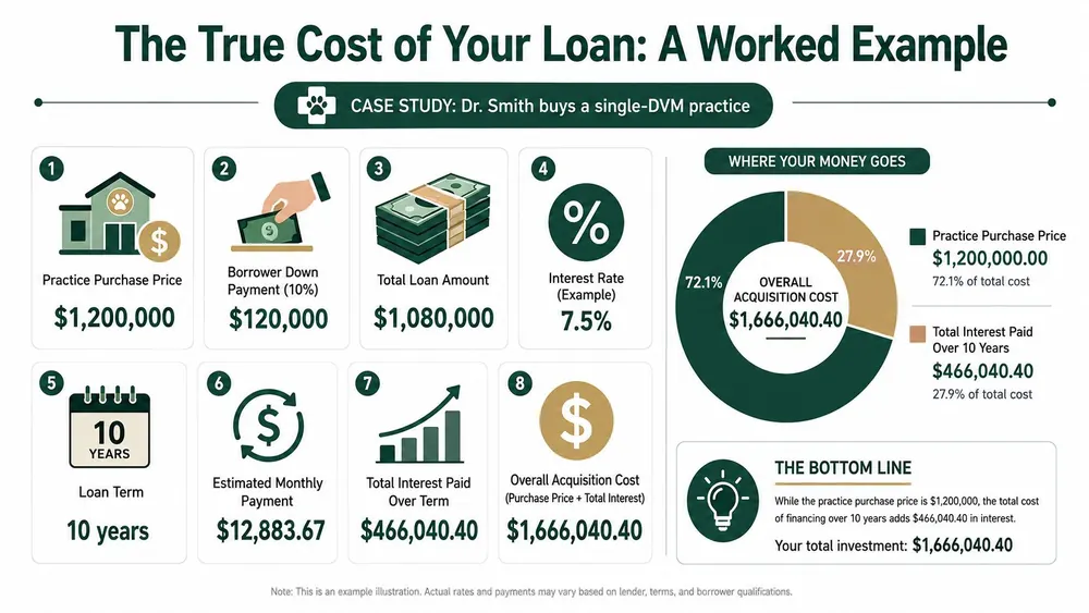 An infographic showing a worked example of the true cost of a veterinary practice acquisition loan.